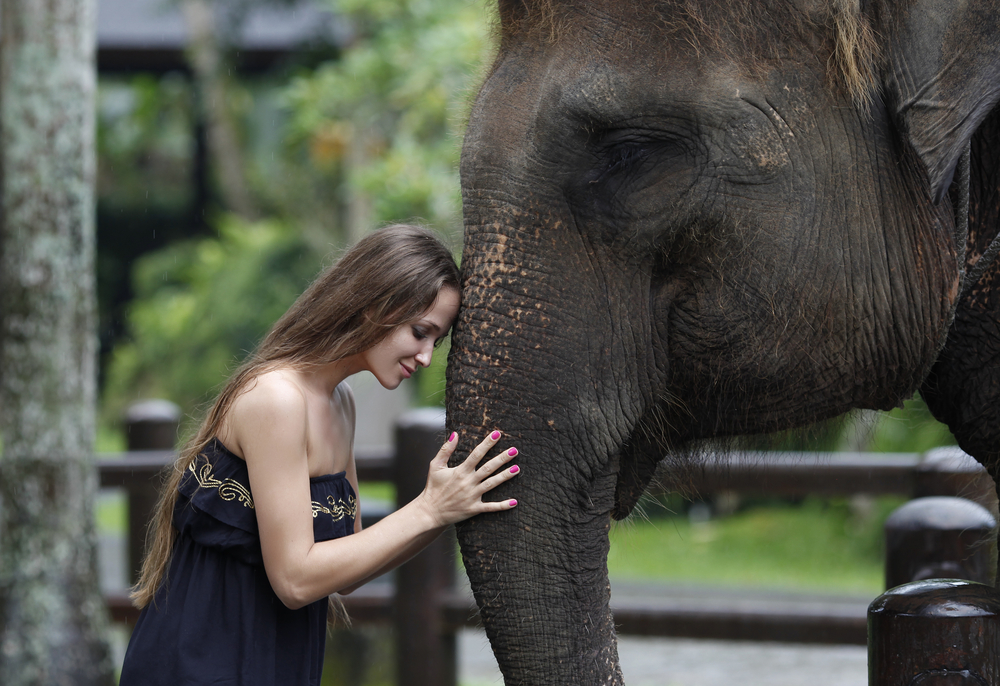 Bali Zoo