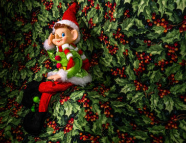 Where To Buy An Elf On The Shelf In Hong Kong