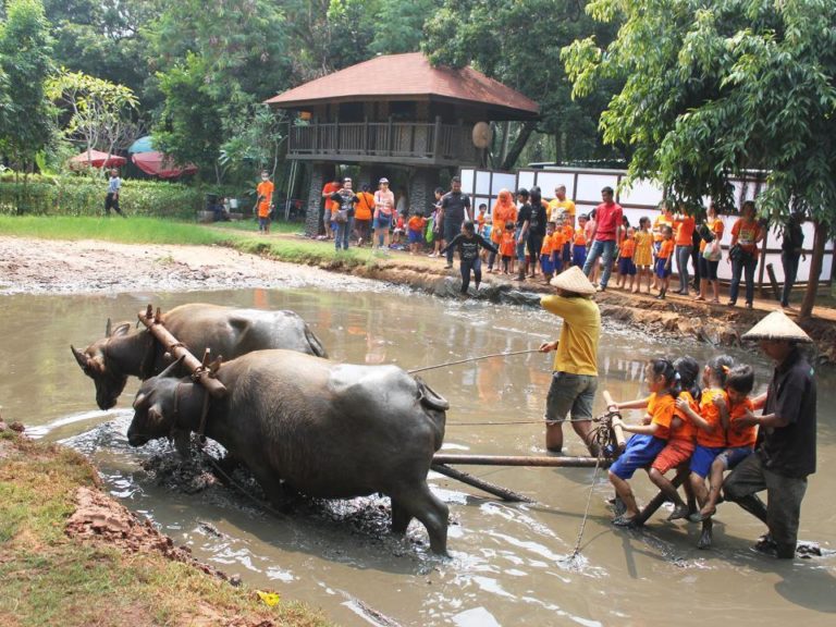 Feeding And Playing With Animals At Ecopark Ancol Indonesia
