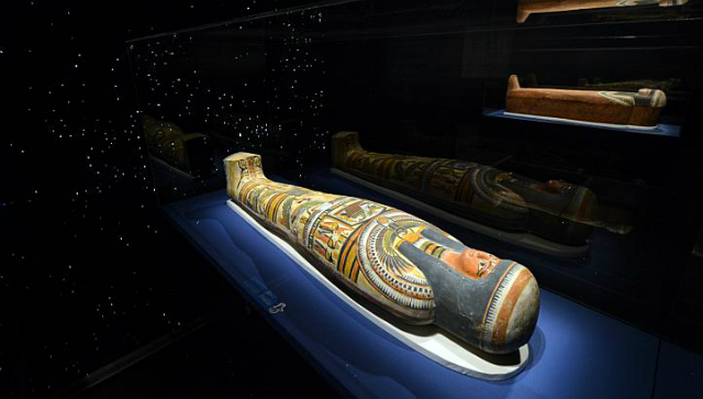 Mummy Exhibition In Singapore