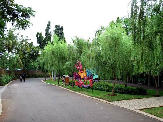 Sports Activities Galore At Ecopark Ancol Indonesia