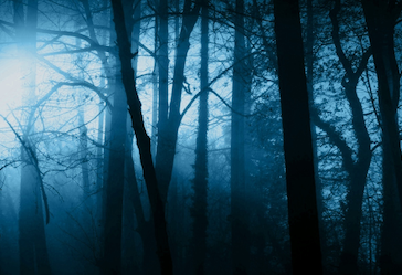 Boo-tastic! By Brigitte Rozario