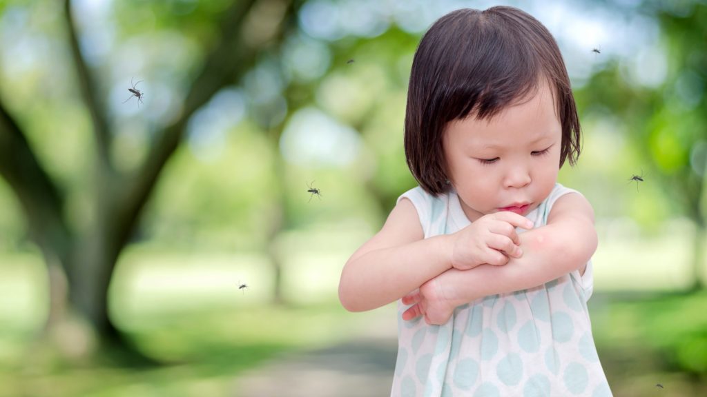 Dengue-Fever-In-Singapore