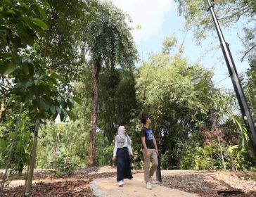 Gallop Extension At Botanic Gardens Ridge-Top Hiking Trail In Singapore
