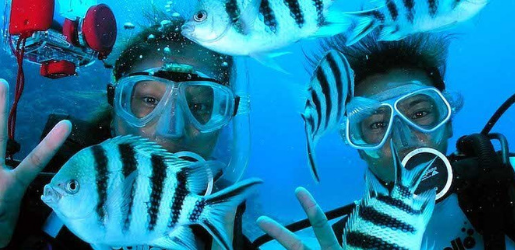 Top-Scuba-Diving-Destinations-For-Families-Asia-All-Cities-Cebu