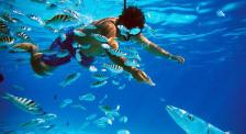 Top-Scuba-Diving-Destinations-For-Families-Asia-All-Cities-Palau-Redang