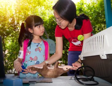 Learning Virtually With Singapore Zoo