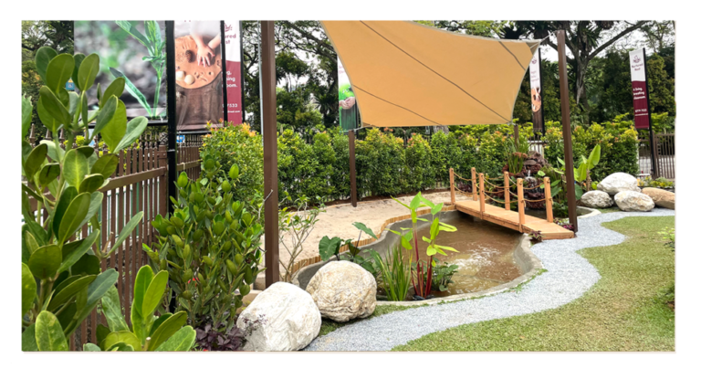 Best Forest School Programs Singapore
