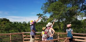 Biodiversity Tours With Kids In Chek Jawa And Pasir Ris!