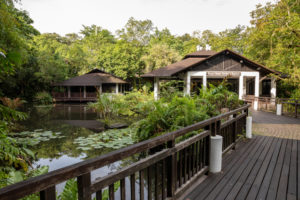 Visiting Sungei Buloh Wetland Reserve In Singapore