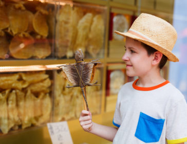 8 Top Hong Kong Attractions For Kids And Families