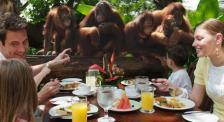 Family-Friendly Weekend Escape In Singapore With Kids