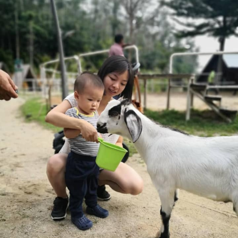 Mantin Forest Art Farmstay in Malaysia