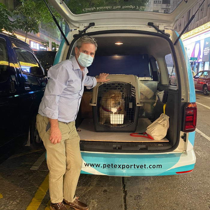 Pet export vet hong Kong