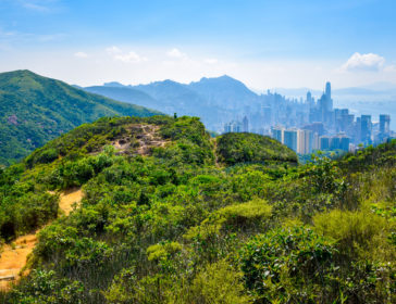 10 Hong Kong Hikes With The Best Views