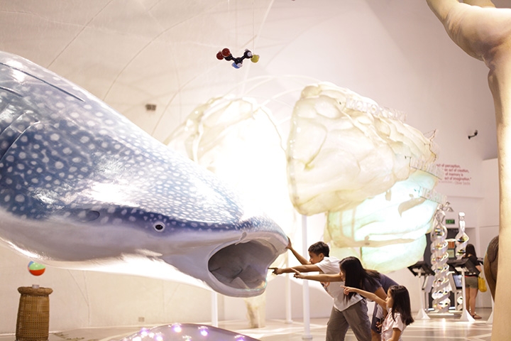 The Mind Museum In Manila
