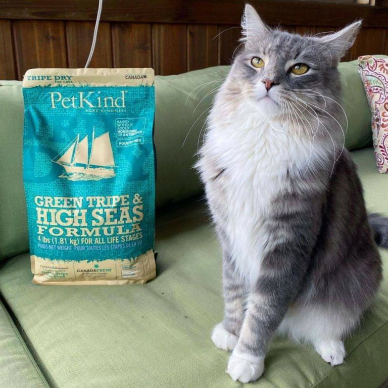 Nekojam Top 10 Pet Supplies Singapore