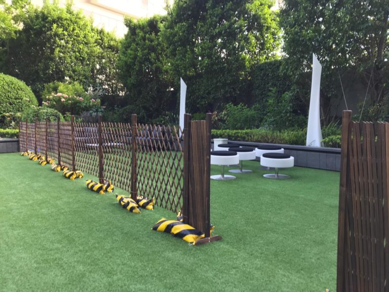 Pet-Friendly Alva Hotel by Royal Hong Kong