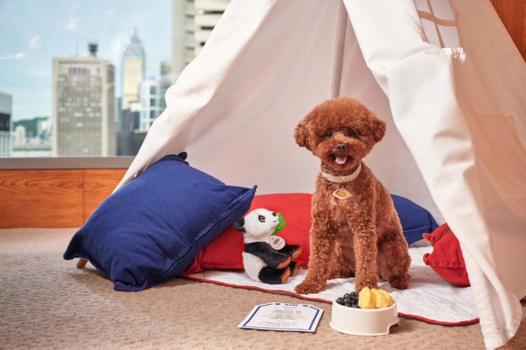 Pet-Friendly Mandarin Oriental Hong Kong