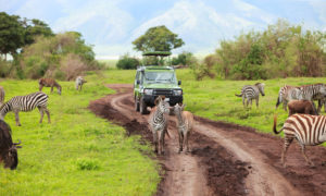 5 Amazing Family-Friendly Safaris To Book With Kids In 2025