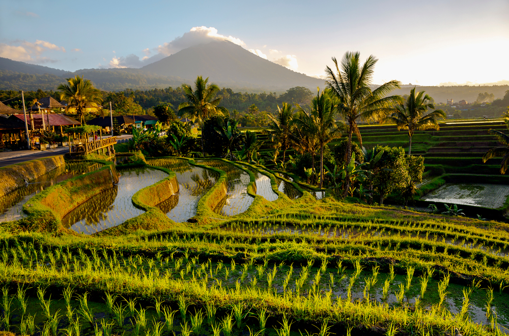 Family-Friendly Guide To Tabanan In Bali