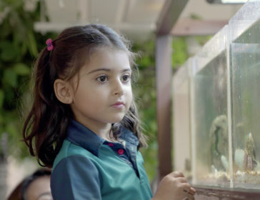 What Makes The Harbour School’s Approach To Learning So Unique?