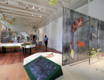 Forest Discovery Centre At Singapore Botanic Gardens