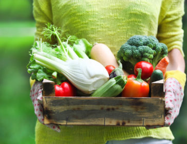 Best 4 Organic Vegetable And Fruit Online Delivery Options In Hong Kong + Weekly Subsciption Boxes