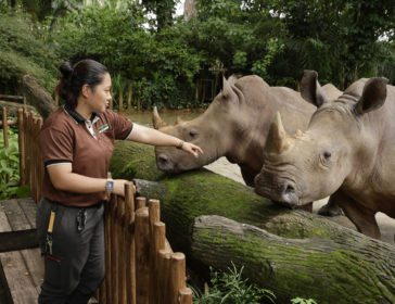 Hello From The Wild Side At Singapore Wildlife Parks