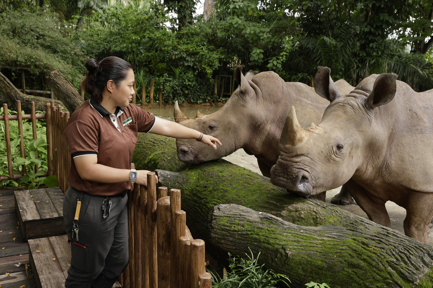 Behind-The-Scenes-Singapore-Zoo