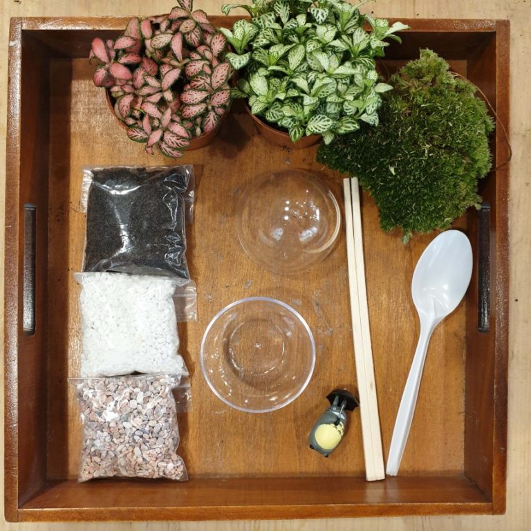 Terrarium Workshop Unique Things to do when you are stuck in Singapore this summer