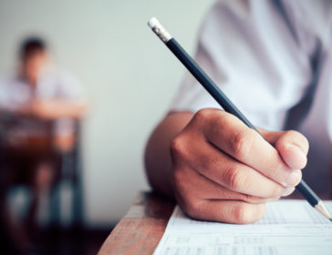 Understanding PLSE & What The Scores Mean In Singapore