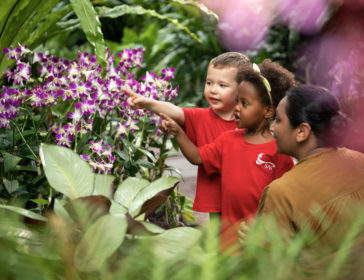8 Ways To Prepare For Preschool With Singapore American School In Singapore