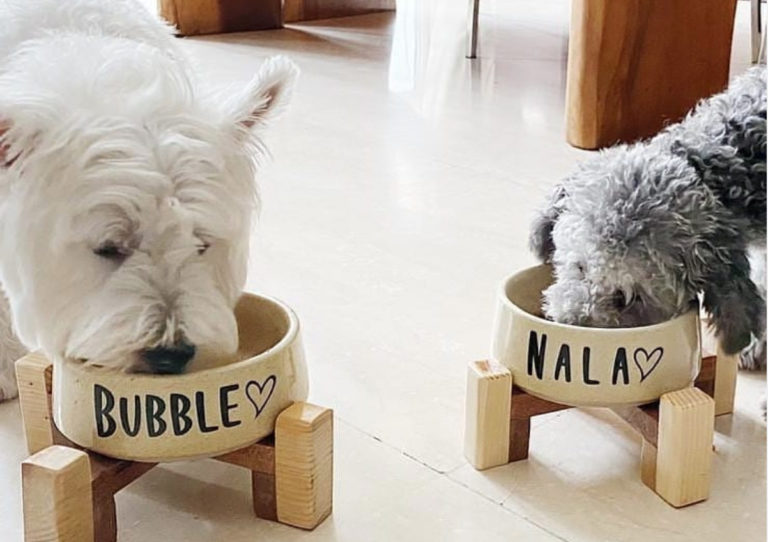 Claw Paw Pet Supplies Stores Jakarta