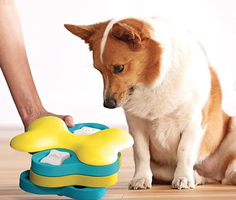 Urban Pets Supplies Store Grooming Hotel Training