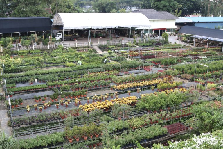 World Farm