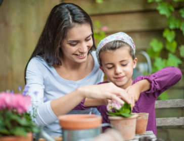 10 Best Plant Shops And Nurseries In Singapore
