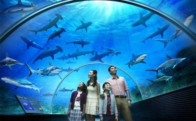 Getting Around Langkawi