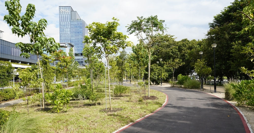 singapore-history-nature-pasir-panjang-park