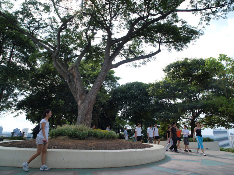 Mount Faber Park