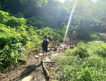Best Family Hiking Trails To Explore In Singapore