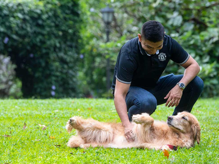 Parkland Green Dog Run