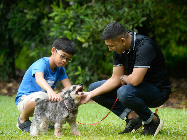 Sembawang Park Dog Run
