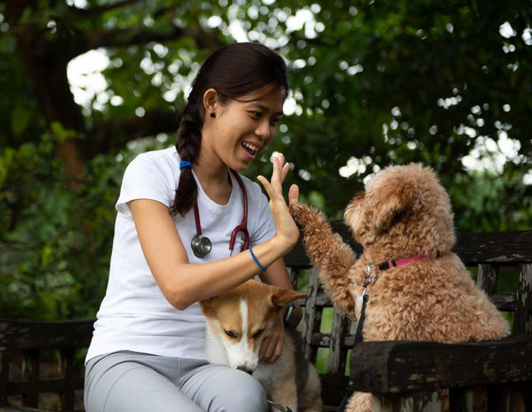 West Coast Park Dog Run