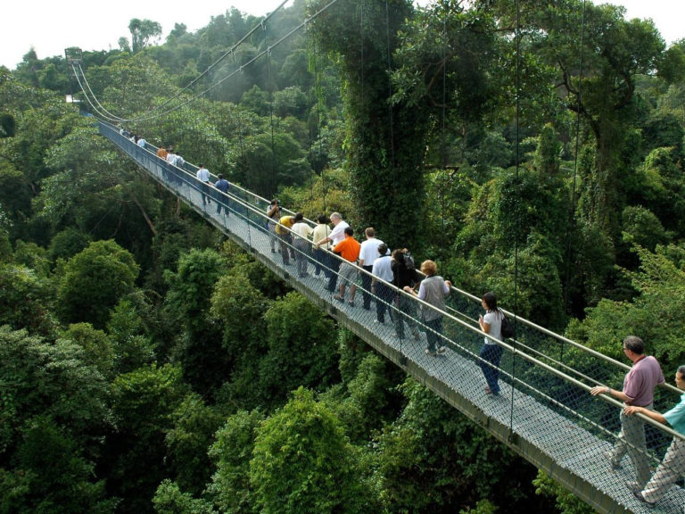 Macritchie Reservoir