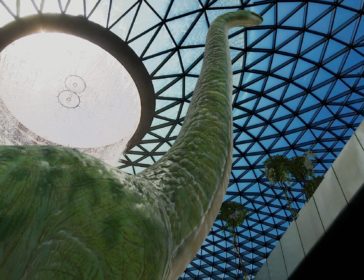 Experience Dinosaurs At The Jewel-rassic Quest, Singapore