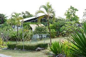 Montessori top international schools in Thailand Little Steps Asia